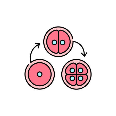 Cell division olor line icon. Pregnancy. Pictogram for web page, mobile app, promo. UI UX GUI design element. Editable stroke.のイラスト素材