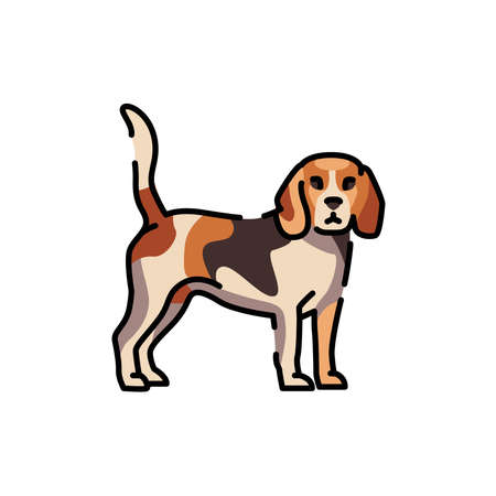 Beagle color line icon. Dog breed. Pictogram for web page, mobile app, promo.のイラスト素材