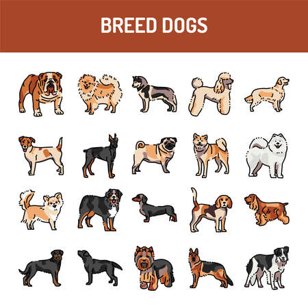 Breed dogs line icons set. Isolated vector element. Outline pictograms for web page, mobile app, promo. Editable stroke.のイラスト素材
