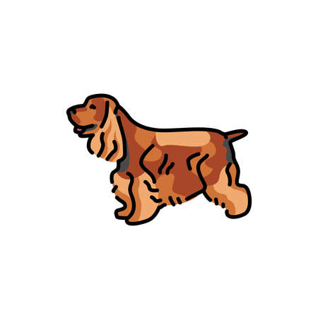Spaniel color line icon. Dog breed. Pictogram for web page, mobile app, promo.のイラスト素材
