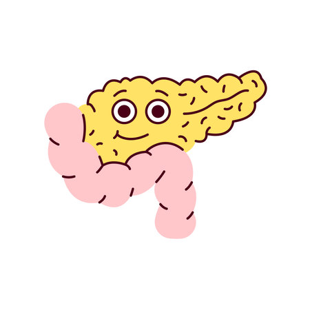 Human organ pancreas color line icon. Mascot of emotions.のイラスト素材