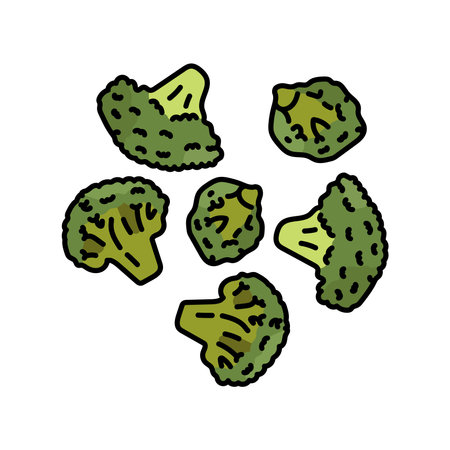 Broccoli color line icon. Natural vegetable.のイラスト素材