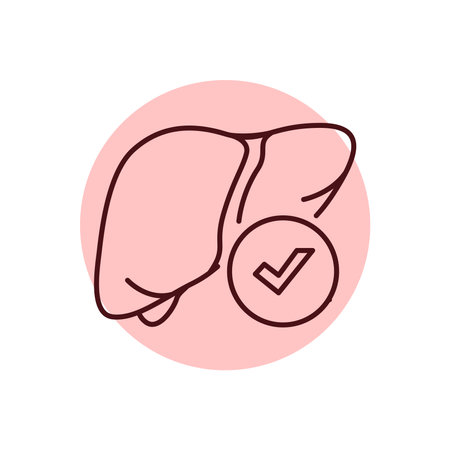 Healthy liver color line icon. Human diseases.のイラスト素材