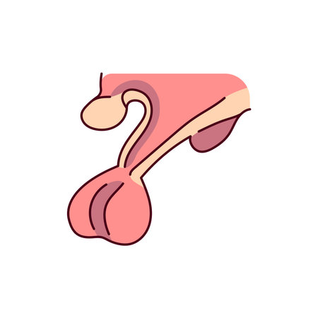 Hypothalamus color line icon. Endocrine system. Pictogram for web pageのイラスト素材