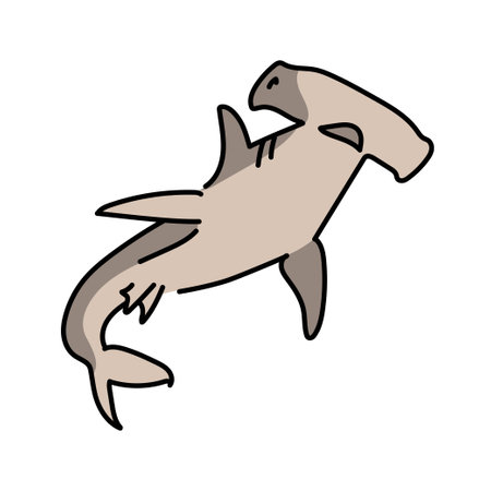 Hammerhead shark color line illustration. Marine mammalsのイラスト素材
