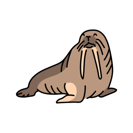 Walrus color line illustration. Marine mammalsのイラスト素材