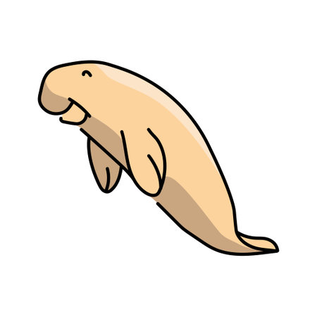 Dugong color line illustration. Marine mammalsのイラスト素材