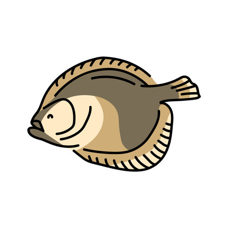 Flounder color line illustration. Ocean fishes.