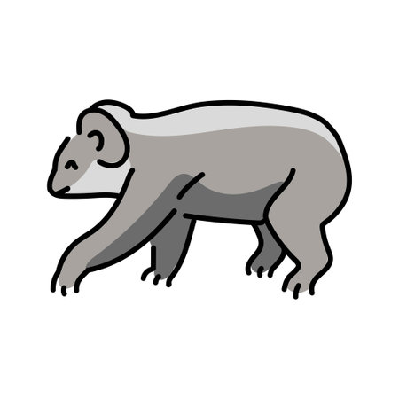 Koala color line illustration. Animals of Australia.のイラスト素材