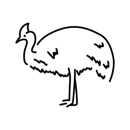 Australian cassowary color line illustration. Animals of Australia.のイラスト素材