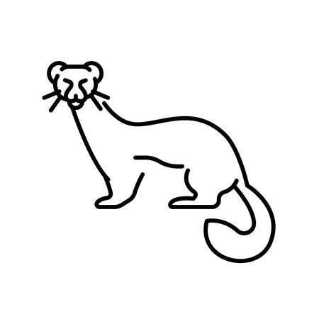 Ermine black line icon for digital and print projects. Arctic animals. Minimal clean icons for apps and websites. Modern simple icons for UI UX and brandingのイラスト素材