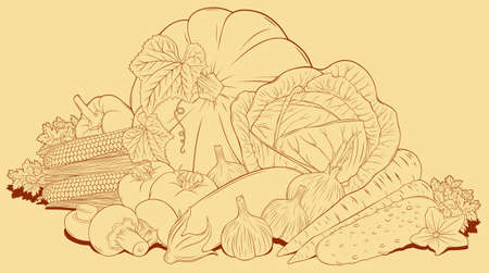 Vector vintage composition of vegetables on the theme of food, healthy eating.のイラスト素材