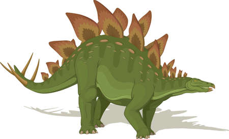 Vector illustration, ancient animal, dinosaur, stegosaurus on a white background.のイラスト素材