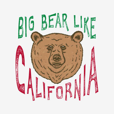 Hand lettered Big Bear like Californiaのイラスト素材