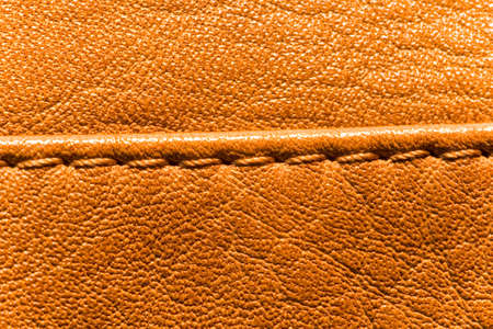 two pieces of calfskin connected seamの写真素材