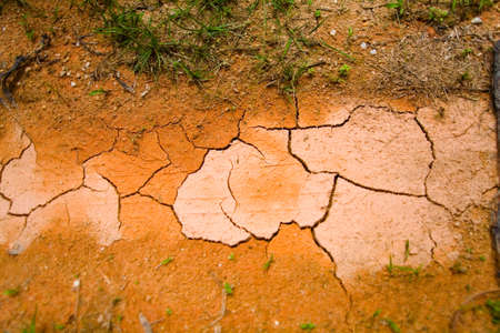 Drought. Cracked dry red earth with a track wheel protector.