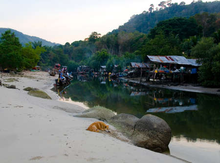 Patong, Thailand, February 2, 2017: A red dog lies on the sand in the background of a Thai fishermen's settlement.のeditorial素材