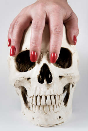 A female hand lies on a human skull on a white background.の写真素材