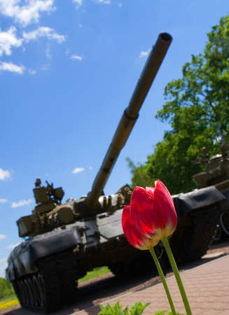 Dmitrov, Russia, May 24, 2011: Tulips against the backdrop of a Russian tank.のeditorial素材