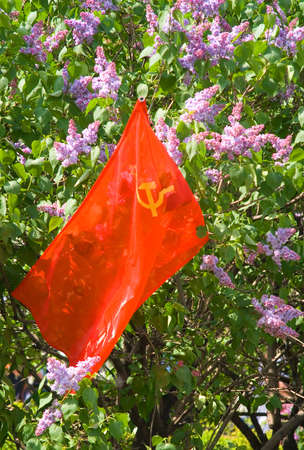 Red flag with the coat of arms of the Soviet Union against the background of lilac flowers.の写真素材