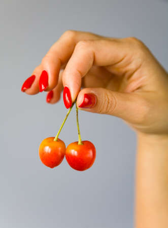 The fingers of the female hand hold the cherries against the gray gradient background. Fruit.の写真素材