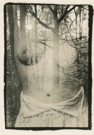 Naked woman and nature. Abstraction. Attention! The image contains artifacts and granularity of the analogue photo!の写真素材