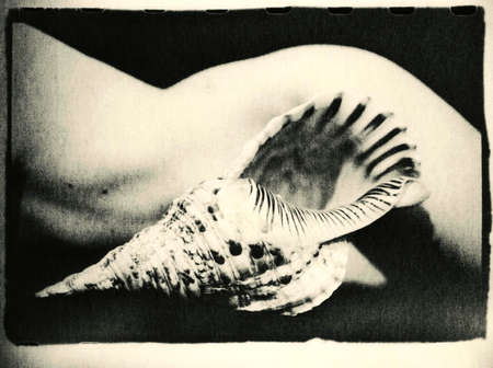 Large seashell on the background of a female body. Retro style. Attention! The image contains granularity and other artifacts of analog photography!の写真素材