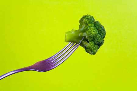 Broccoli is planted on a metal fork. On a yellow-green background.の写真素材
