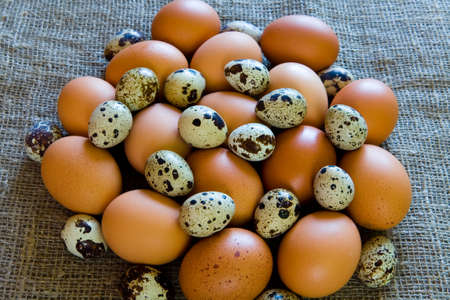 Brown chicken eggs and colorful quail eggs. Food.の写真素材
