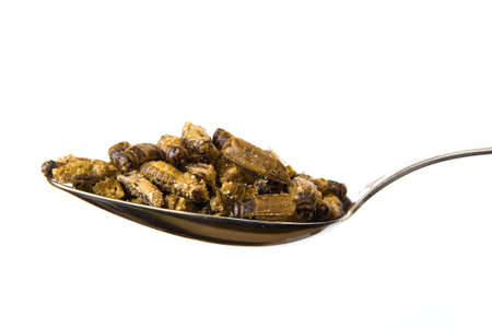 A handful of fried grasshoppers with soy sauce lies on a spoon. Close-up.