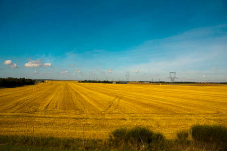 field with a crop in the fall against the bright skyの写真素材