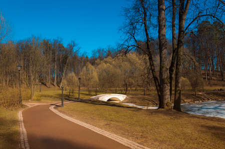 path in park in the clear spring afternoonの写真素材