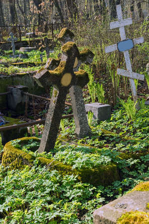 The old thrown graves under the spring sun