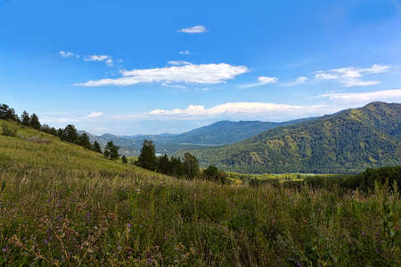 Mountain river in the bright summer afternoonの写真素材