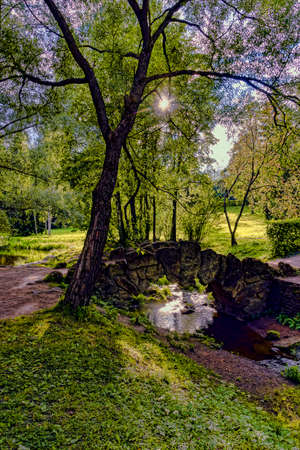 The stone bridge at a pond in the suburban park in the summerの写真素材