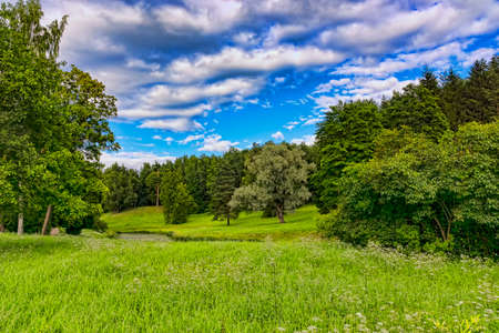 Ancient park in the suburbs in the summerの写真素材