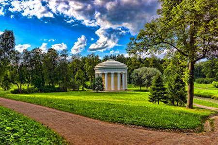 Ancient arbor in the suburban park in the summerの写真素材