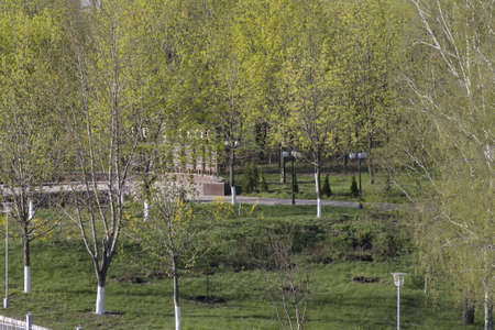 City parkの写真素材