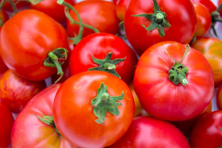 Bright, background, harvest, tomato, ripe, fresh, gardening, product, natural, useful.の写真素材