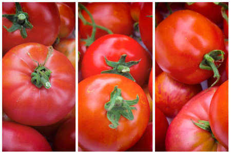 Bright, background, harvest, tomato, ripe, fresh, gardening, product, natural, useful.の写真素材