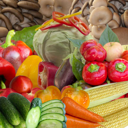 Fresh, freshness, white, pepper, agriculture, green, layout, diet, droplets, abundance.の写真素材