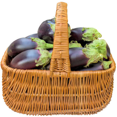 Eggplant, object, white, fruit, food, basket, fresh, isolated, ripe, isolated on white background.の写真素材