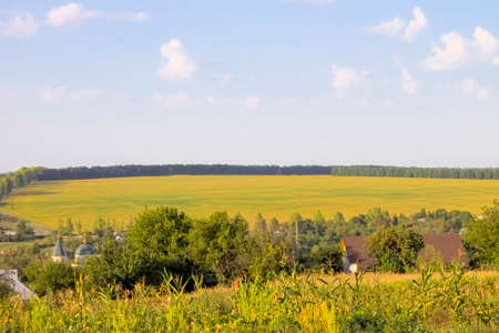 Summer landscape with fields a type of a svozvyshenost.の写真素材