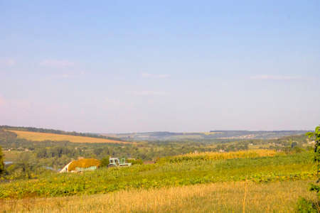 Summer landscape with fields a type of a svozvyshenost.の写真素材