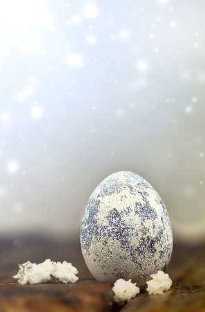 Easter. Egg on a wooden background, White flowers next to a quail egg. Quail egg.