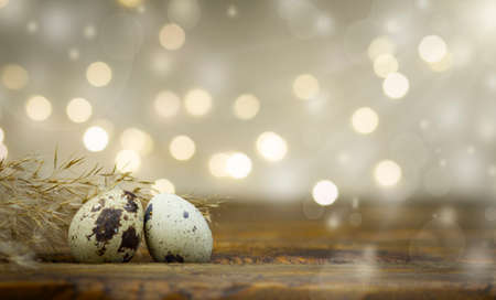 Easter. Easter eggs on a wooden background. Flowers, plants, nature.の写真素材