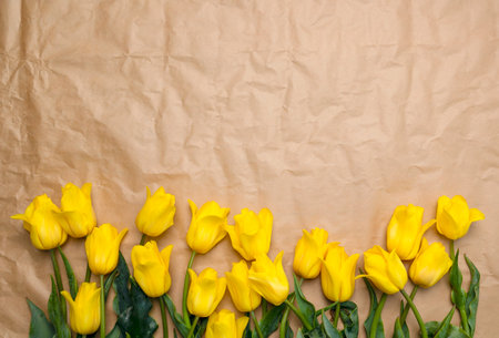 Yellow tulips on a paper textured background with space for a copy. A large banner with spring flowers, tulips for a gift to mom, sister, grandmother, aunt. Postcard for March 8, Mothers Day, Easterの写真素材