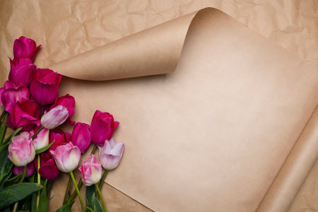 Paper background with colors, curved corner and space for copy. Beautiful background with pink tulips on a craft background. Textured paper background with text spaceの写真素材