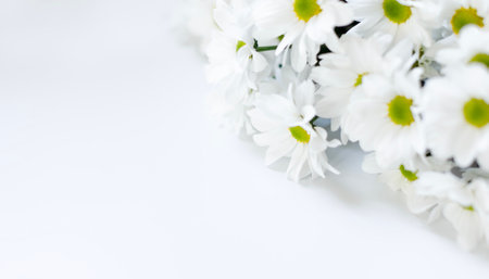 Bouquet of white chrysanthemums on a white background with space for a copy. Beautiful flowers on a white table, a gift card with space for text. Congratulatory background with white daisiesの写真素材