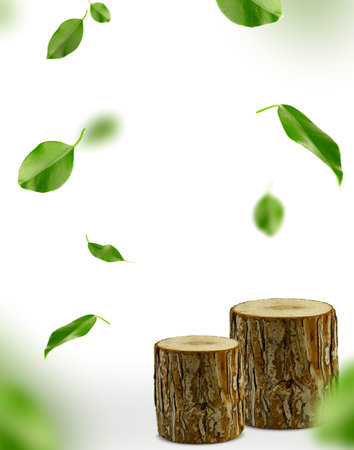 Wooden stumps on a white background with soaring green leaves. A beautiful banner for advertising goods in online stores. Background with space for copy, levitation.の写真素材